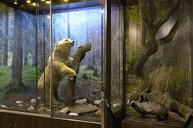 Muzeum Ziemi Chełmskiej