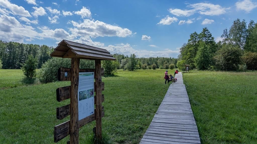 Kampinoski Park Narodowy